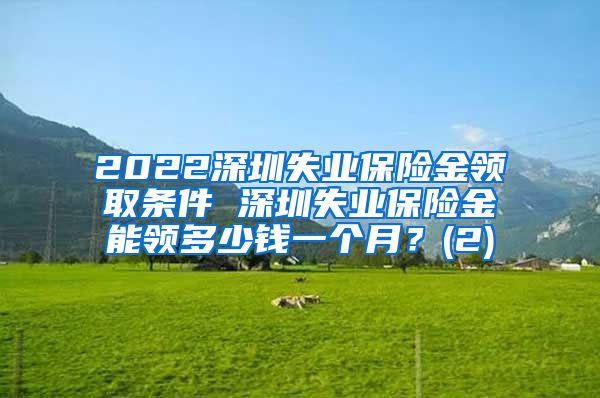 2022深圳失业保险金领取条件 深圳失业保险金能领多少钱一个月？(2)