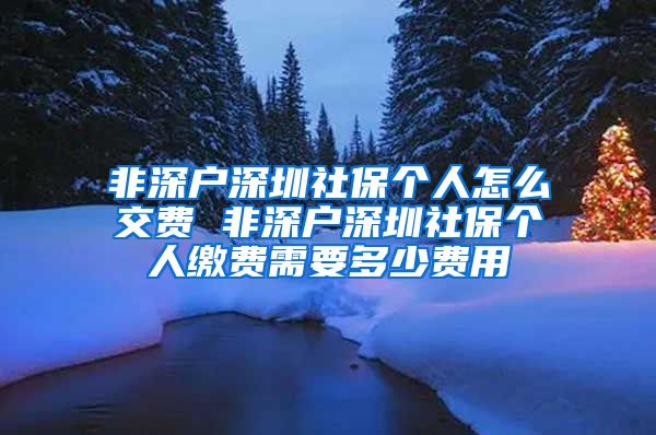 非深户深圳社保个人怎么交费 非深户深圳社保个人缴费需要多少费用