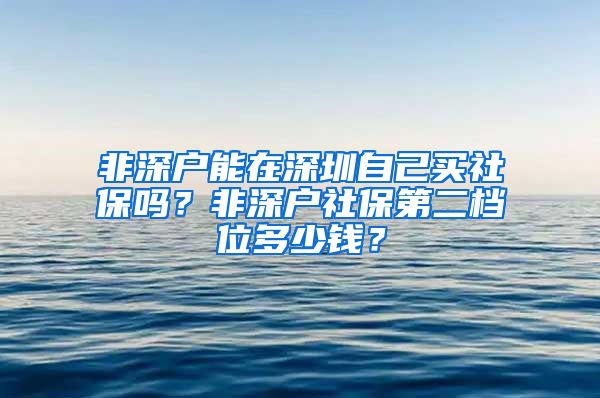 非深户能在深圳自己买社保吗？非深户社保第二档位多少钱？