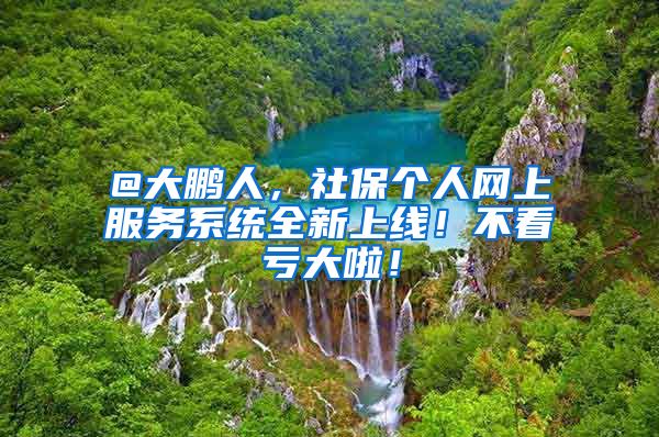 @大鹏人，社保个人网上服务系统全新上线！不看亏大啦！