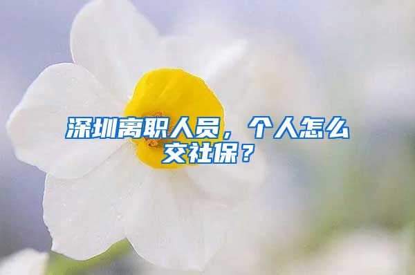 深圳离职人员，个人怎么交社保？