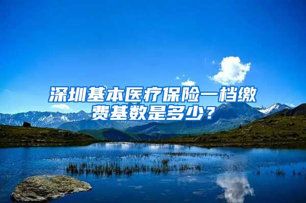 深圳基本医疗保险一档缴费基数是多少？