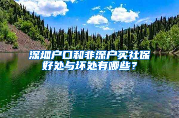 深圳户口和非深户买社保好处与坏处有哪些？