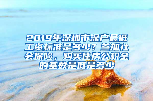 2019年深圳市深户最低工资标准是多少？参加社会保险，购买住房公积金的基数是低是多少