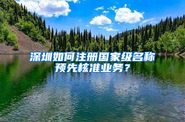 深圳如何注册国家级名称预先核准业务？