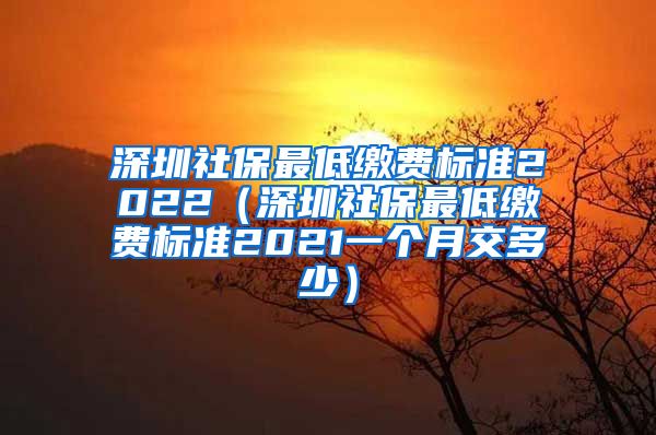 深圳社保最低缴费标准2022（深圳社保最低缴费标准2021一个月交多少）