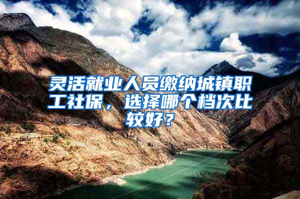 灵活就业人员缴纳城镇职工社保，选择哪个档次比较好？