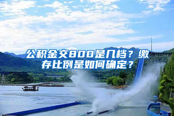 公积金交800是几档？缴存比例是如何确定？