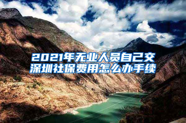 2021年无业人员自己交深圳社保费用怎么办手续