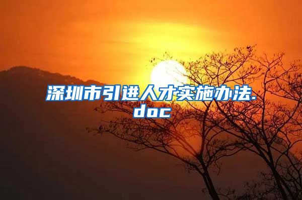 深圳市引进人才实施办法.doc