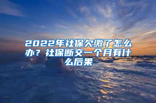 2022年社保欠缴了怎么办？社保断交一个月有什么后果