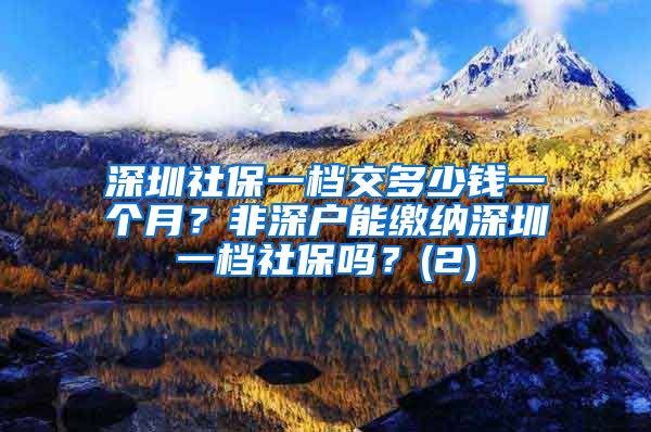 深圳社保一档交多少钱一个月？非深户能缴纳深圳一档社保吗？(2)