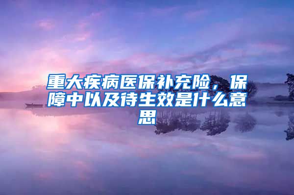 重大疾病医保补充险，保障中以及待生效是什么意思