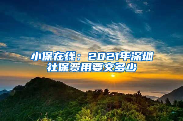 小保在线：2021年深圳社保费用要交多少