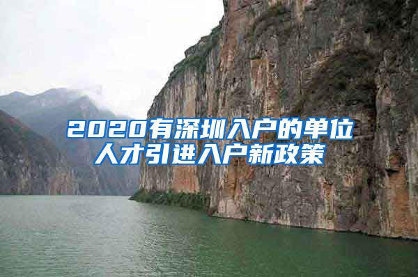 2020有深圳入户的单位人才引进入户新政策