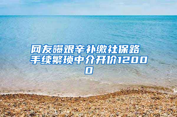 网友曝艰辛补缴社保路 手续繁琐中介开价12000