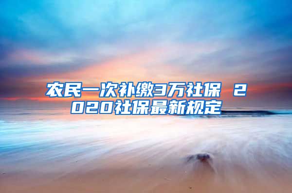 农民一次补缴3万社保 2020社保最新规定