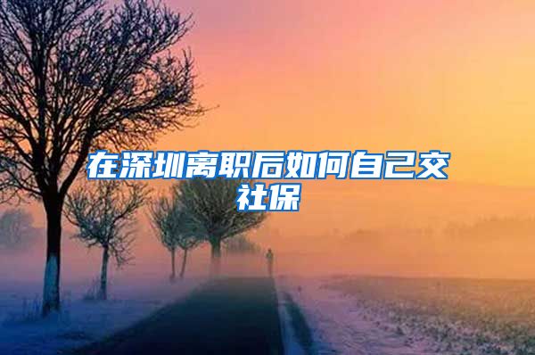 在深圳离职后如何自己交社保