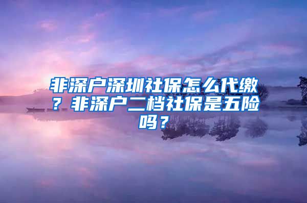 非深户深圳社保怎么代缴？非深户二档社保是五险吗？