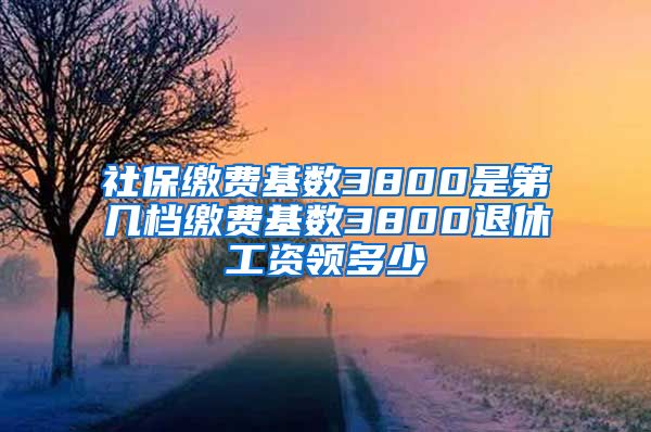 社保缴费基数3800是第几档缴费基数3800退休工资领多少