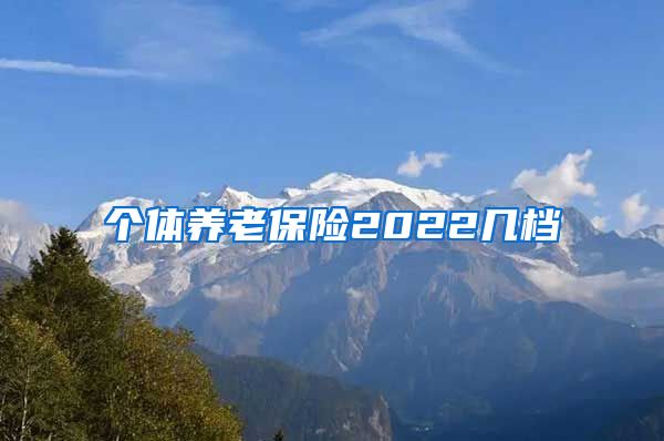 个体养老保险2022几档