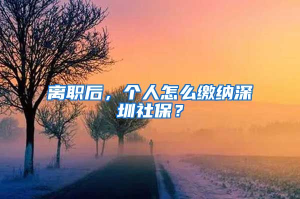 离职后，个人怎么缴纳深圳社保？