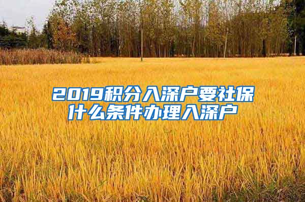 2019积分入深户要社保什么条件办理入深户