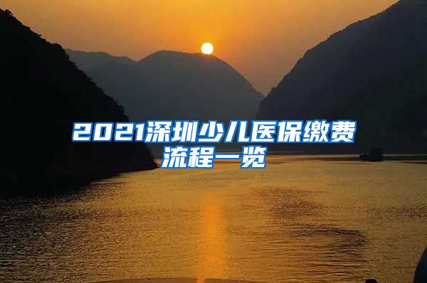 2021深圳少儿医保缴费流程一览