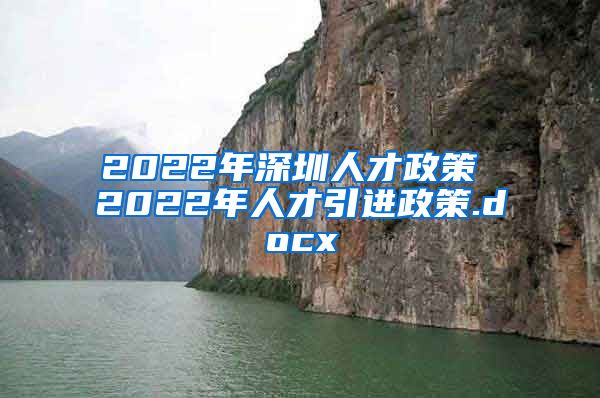 2022年深圳人才政策 2022年人才引进政策.docx