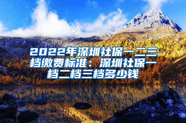 2022年深圳社保一二三档缴费标准：深圳社保一档二档三档多少钱