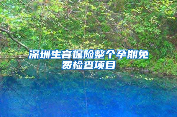 深圳生育保险整个孕期免费检查项目