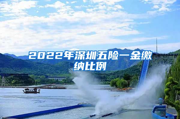 2022年深圳五险一金缴纳比例