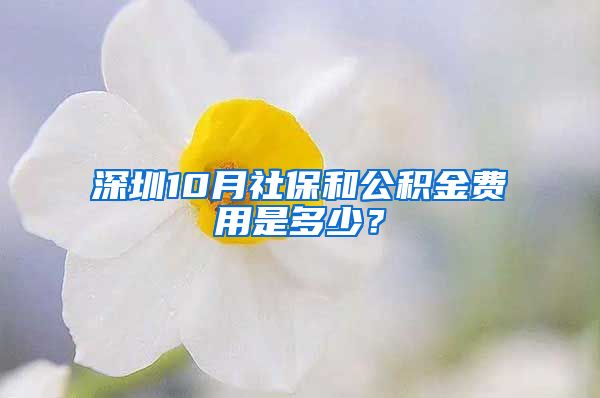 深圳10月社保和公积金费用是多少？