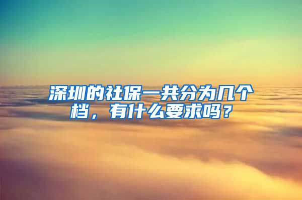 深圳的社保一共分为几个档，有什么要求吗？