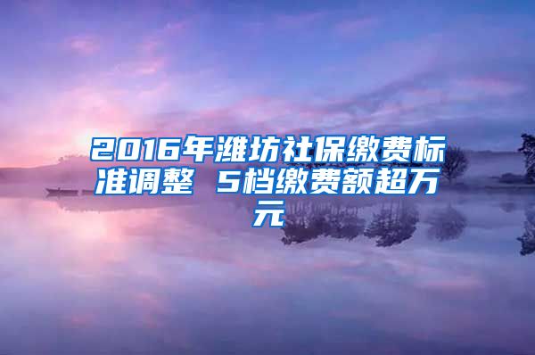 2016年潍坊社保缴费标准调整 5档缴费额超万元