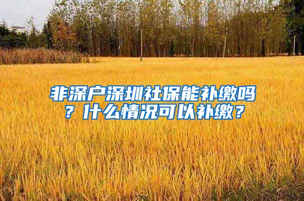 非深户深圳社保能补缴吗？什么情况可以补缴？