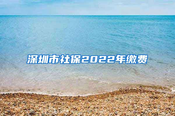 深圳市社保2022年缴费