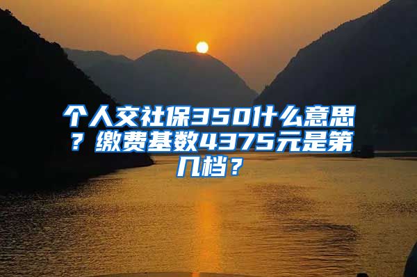 个人交社保350什么意思？缴费基数4375元是第几档？