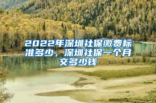 2022年深圳社保缴费标准多少，深圳社保一个月交多少钱