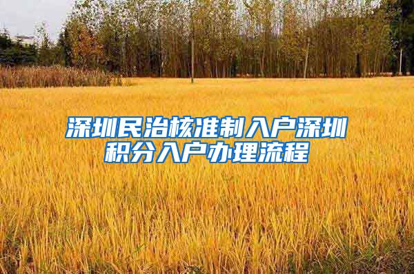 深圳民治核准制入户深圳积分入户办理流程