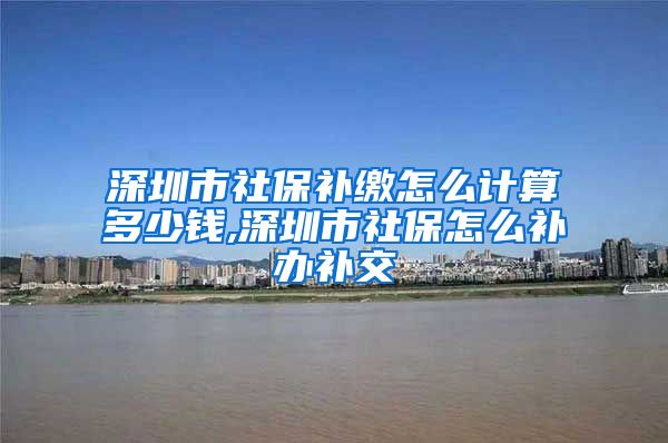 深圳市社保补缴怎么计算多少钱,深圳市社保怎么补办补交