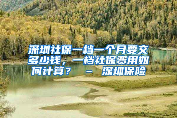 深圳社保一档一个月要交多少钱，一档社保费用如何计算？ – 深圳保险