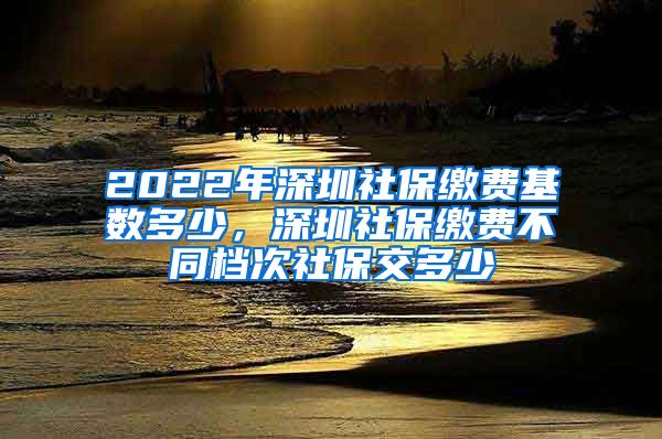 2022年深圳社保缴费基数多少，深圳社保缴费不同档次社保交多少