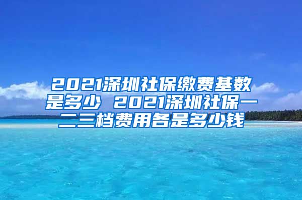 2021深圳社保缴费基数是多少 2021深圳社保一二三档费用各是多少钱