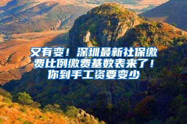 又有变！深圳最新社保缴费比例缴费基数表来了！你到手工资要变少