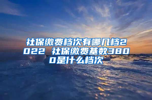 社保缴费档次有哪几档2022 社保缴费基数3800是什么档次