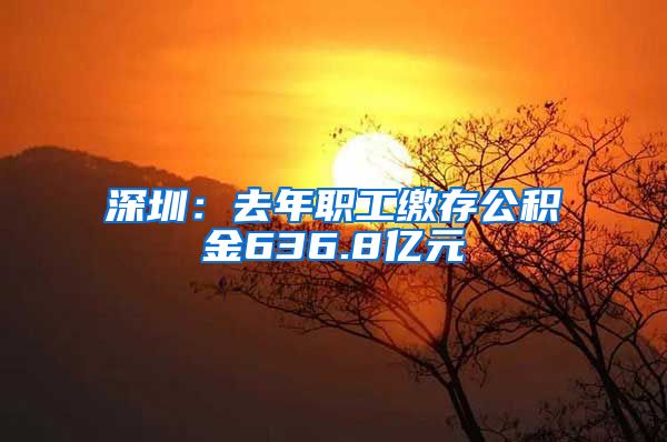 深圳：去年职工缴存公积金636.8亿元