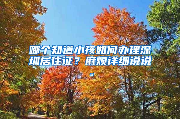 哪个知道小孩如何办理深圳居住证？麻烦详细说说。