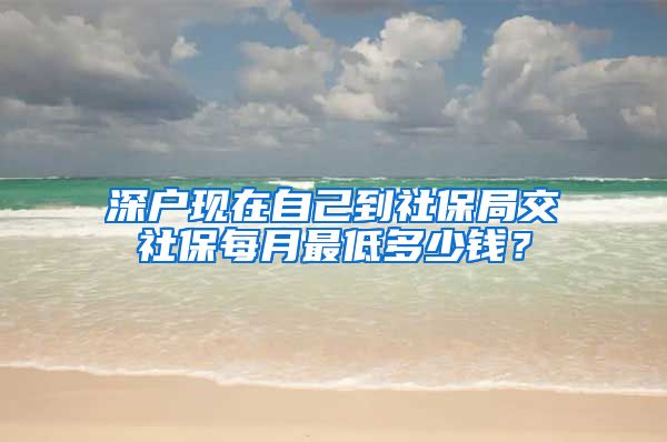 深户现在自己到社保局交社保每月最低多少钱？