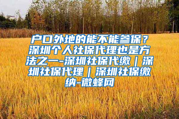 户口外地的能不能参保？深圳个人社保代理也是方法之一-深圳社保代缴｜深圳社保代理｜深圳社保缴纳-微蜂网